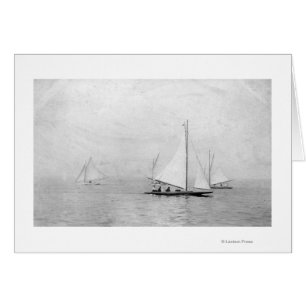 Astoria, Oregon Annual Regatta Sailing Photograp