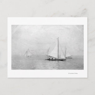 Astoria, Oregon Annual Regatta Sailing Photograp Postcard