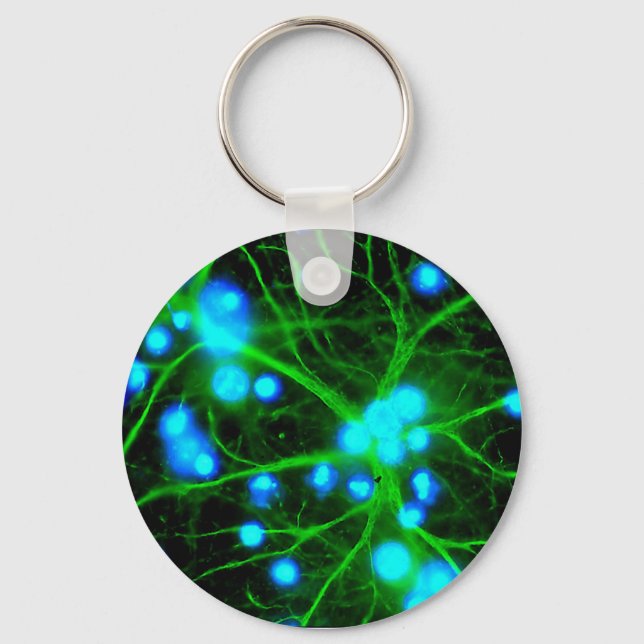 Astrocyte Are Star Shaped Glial Cells in the Brain Keychain (Front)