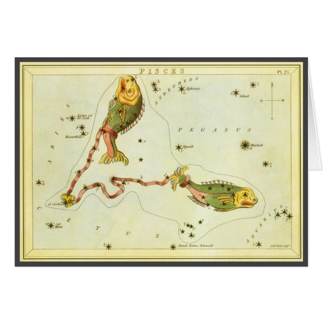 Astrologie Zodiaque vintage Poissons Constellation (Devant horizontal)