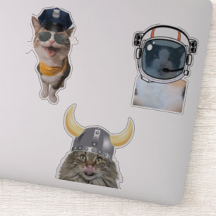 Astronaut Cat