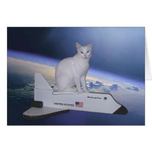 Astronaut Cat (Spirit) on Space Shuttle