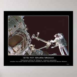 Astronaut Jeffrey N. Williams checks crane Poster