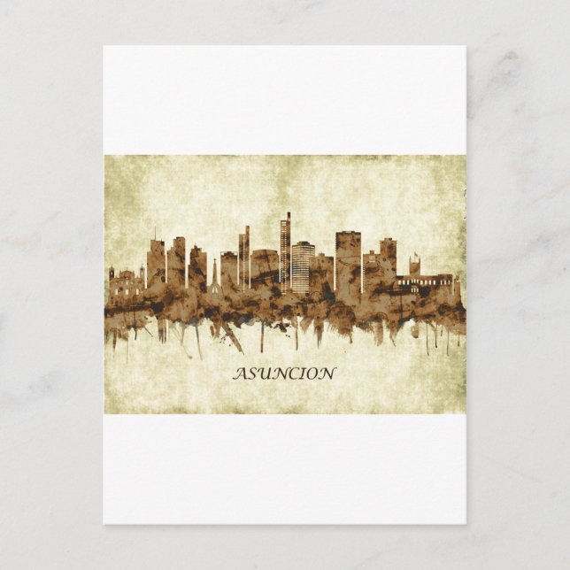Asuncion Paraguay Cityscape Holiday Postcard (Front)