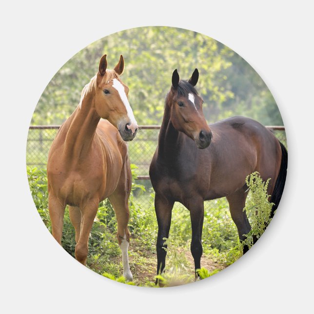 At Attention Magnet (Front)