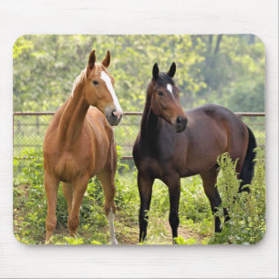 At Attention Mouse Pad