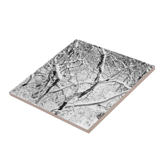 at home in snow tile (Side)