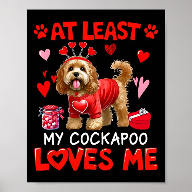 At Least My Apoo Loving Me Valentine's Single Owne Poster (Front)