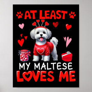At Least My Maltese Loving Me Valentine's Single O Poster