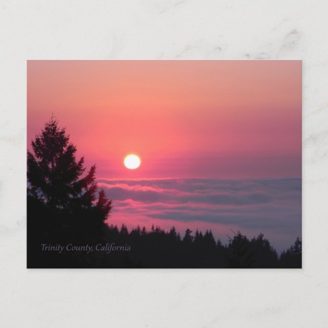 At peace once again.... postcard (Front)