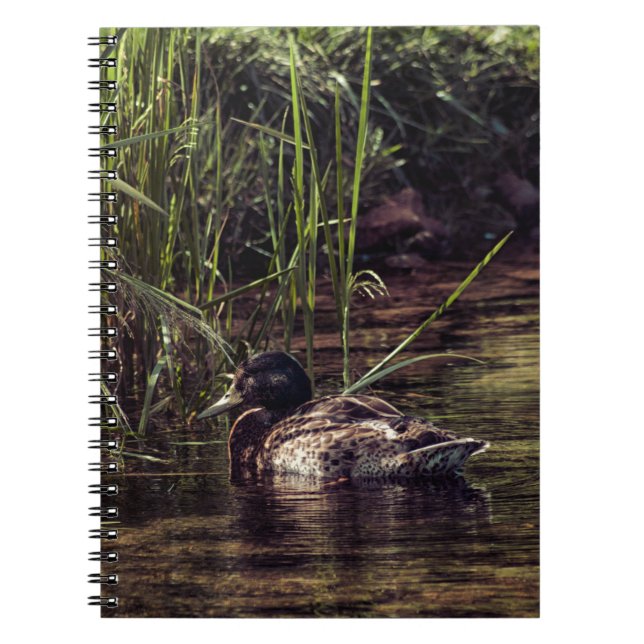 At Pond's Edge Notebook (Front)