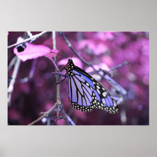 At Rest Poster