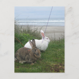 At the Beach Postcard