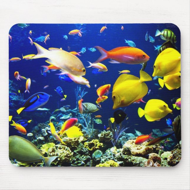 At the bottom of the sea mouse pad (Front)