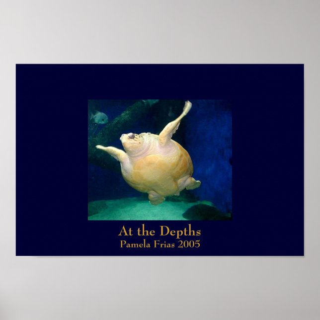 At the Depths Poster (Front)