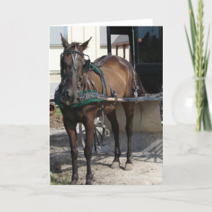 At the Hitching Post Card