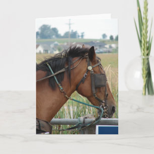 At the Hitching Post Card