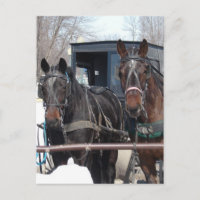 At the Hitching Post