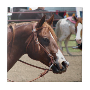 At the Horse Show Tile