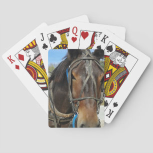 At the Library, Amish Horse and Buggy Playing Cards