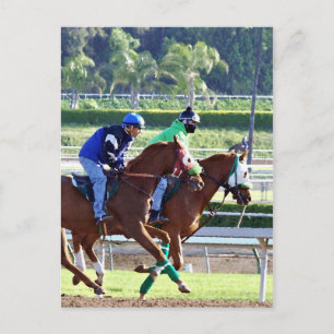 At the Races Postcard