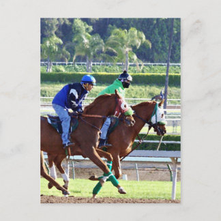 At the Races Postcard