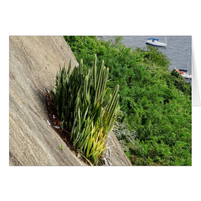 At the Sugar Loaf (Front Horizontal)
