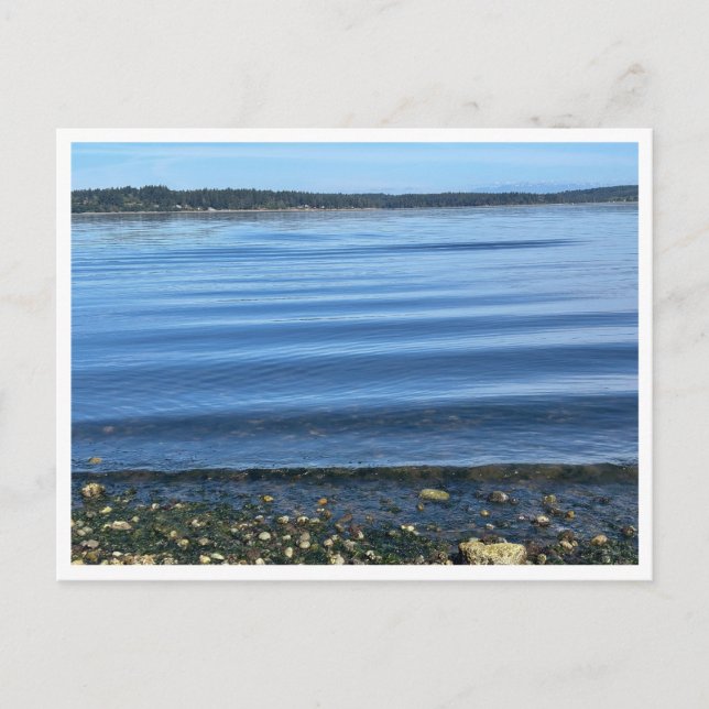 At the water postcard (Front)