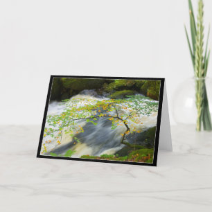 At the waters edge card