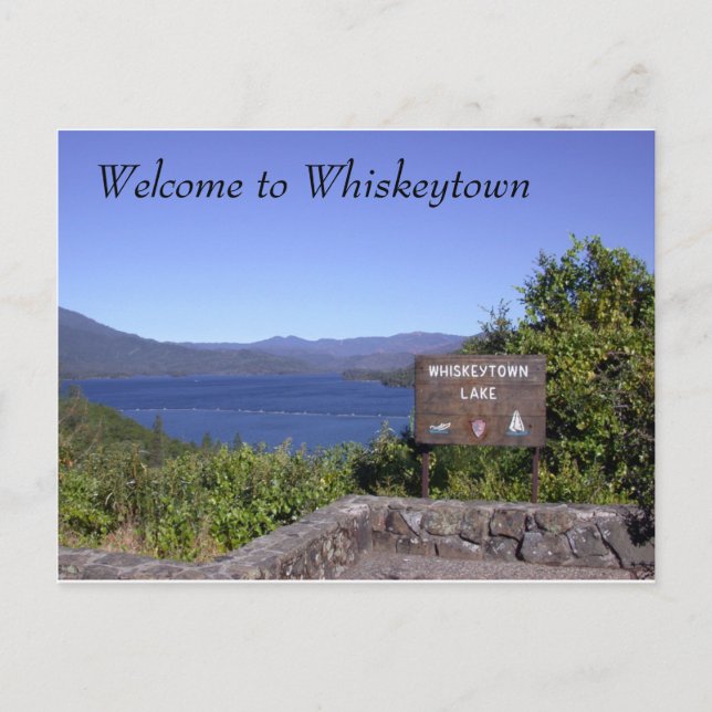 At Whiskeytown Lake Postcard (Front)