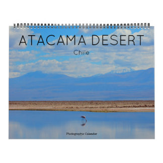atacama desert 2026 large  calendar