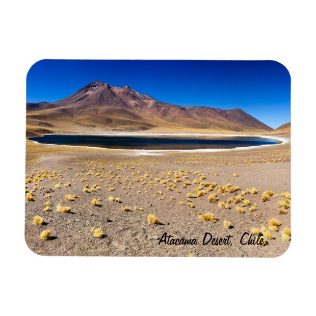 Atacama Desert Magnet (Horizontal)