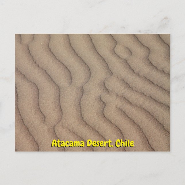 Atacama Desert sand ripples Postcard (Front)