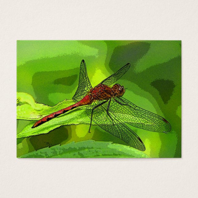ATC dragonfly (Devant)