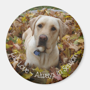 Atelier d'amour ~ Toujours en saison Magnet