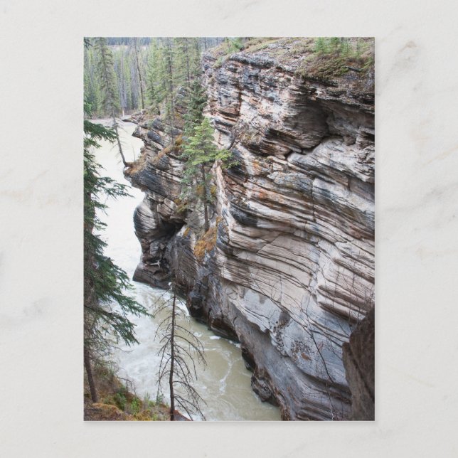 Athabasca Falls Postcard (Front)