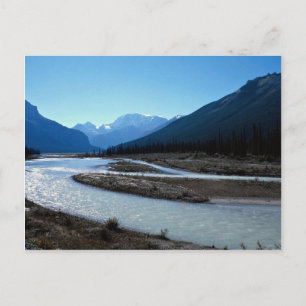 Athabasca River, Icefield Parkway, Alberta, Canada Postcard