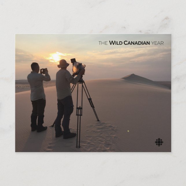 Athabasca Sand Dunes Postcard (Front)