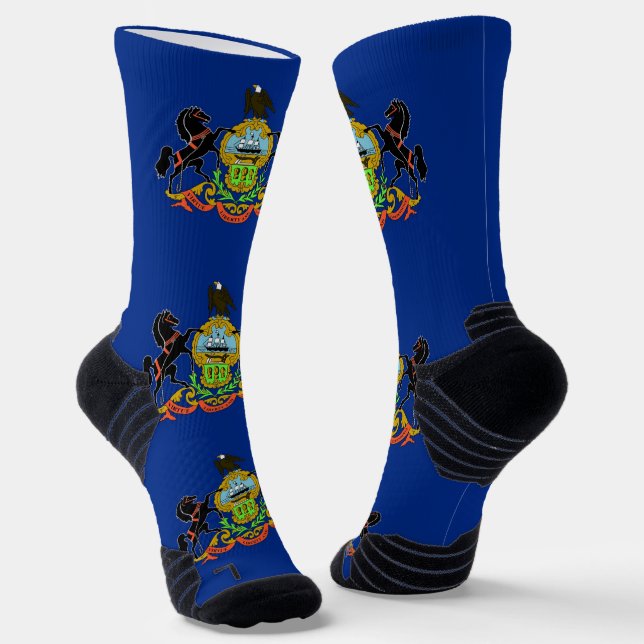 Athletic Crew Sock with flag of Pennsylvania (Angled)