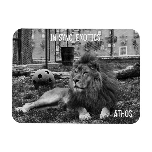 Athos - magnet (Horizontal)