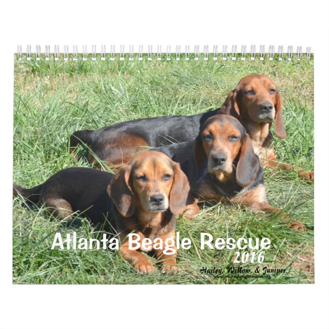 Atlanta Beagle Rescue 2016 Calendar (Cover)