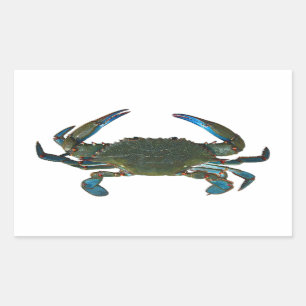 Atlantic Blue Crab Logo Sticker