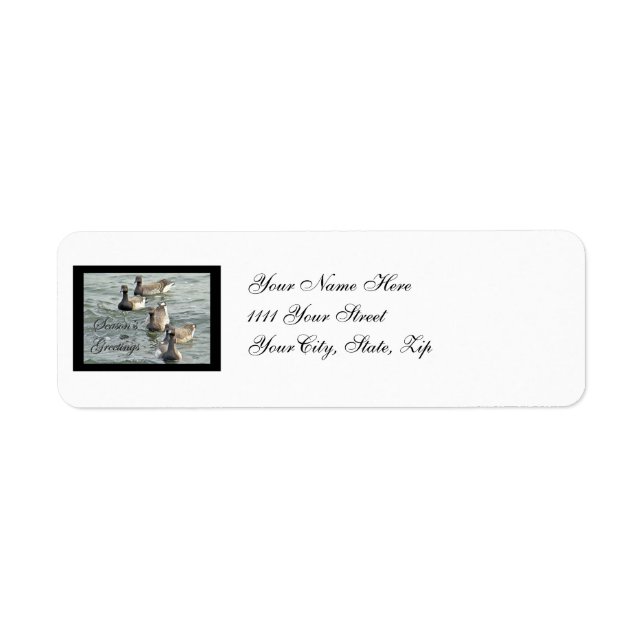 Atlantic Brant Geese Season's Greetings Series (Front)