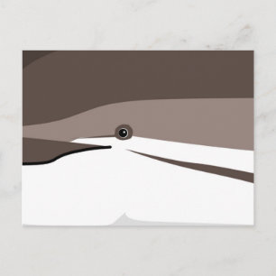 Atlantic dolphin cute face smile stylized grey whi postcard