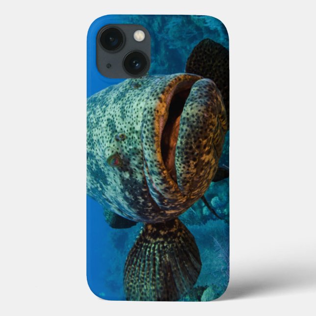 Atlantic Goliath Grouper Case-Mate iPhone Case (Back)