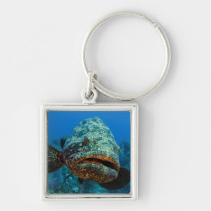Atlantic Goliath Grouper Keychain