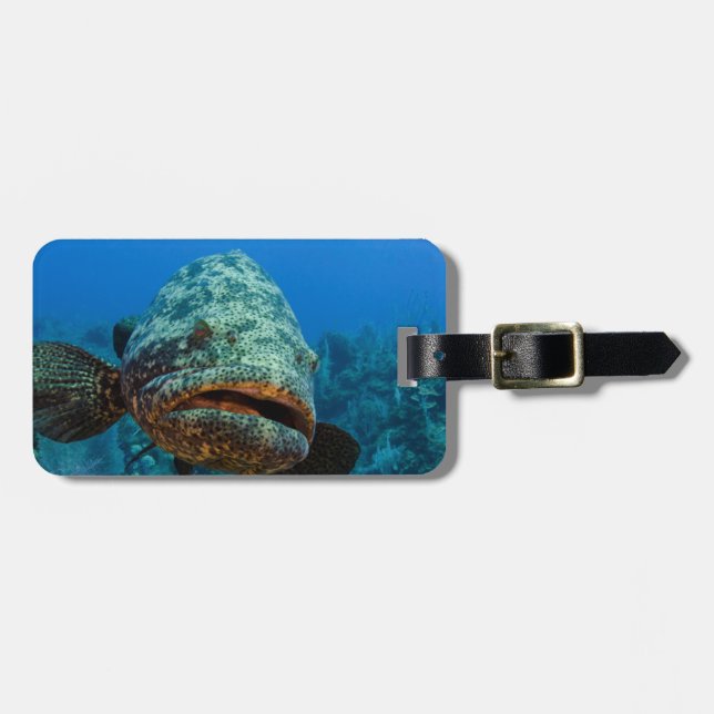 Atlantic Goliath Grouper Luggage Tag (Front Horizontal)
