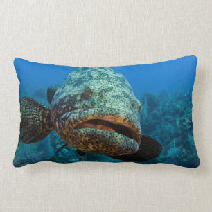 Atlantic Goliath Grouper Lumbar Pillow