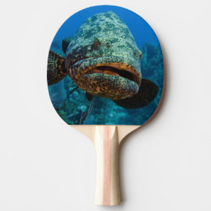 Atlantic Goliath Grouper Ping Pong Paddle