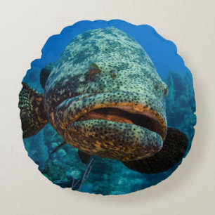 Atlantic Goliath Grouper Round Pillow